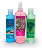 Click to Enlarge Picture