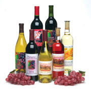 Primera LX810 used to print wine labels